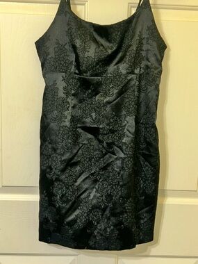 wild fable Black Floral Jacquard Mini Dress